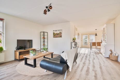 Havikskruid 4 secondary image