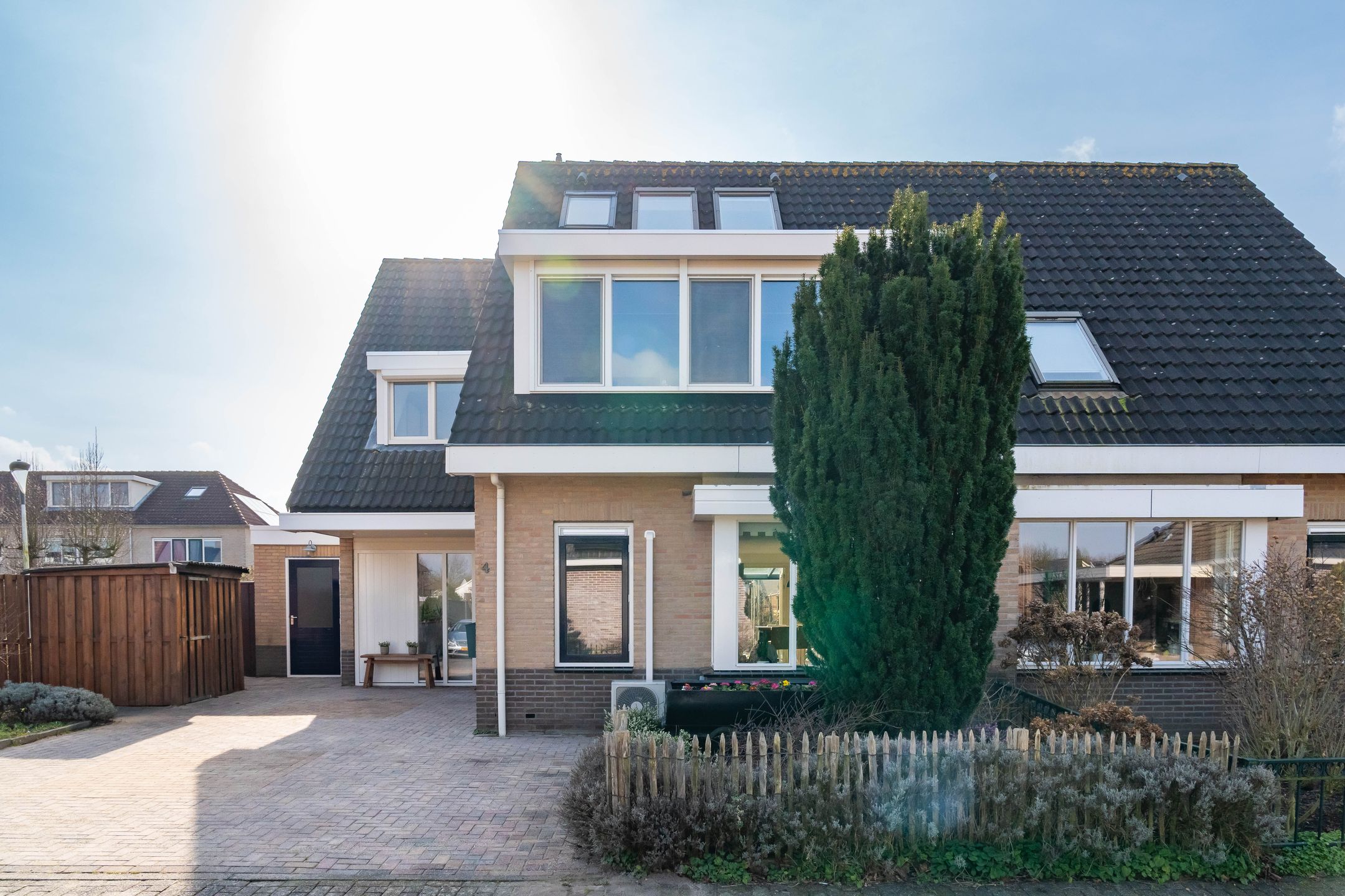 Foto 6 van Havikskruid 4