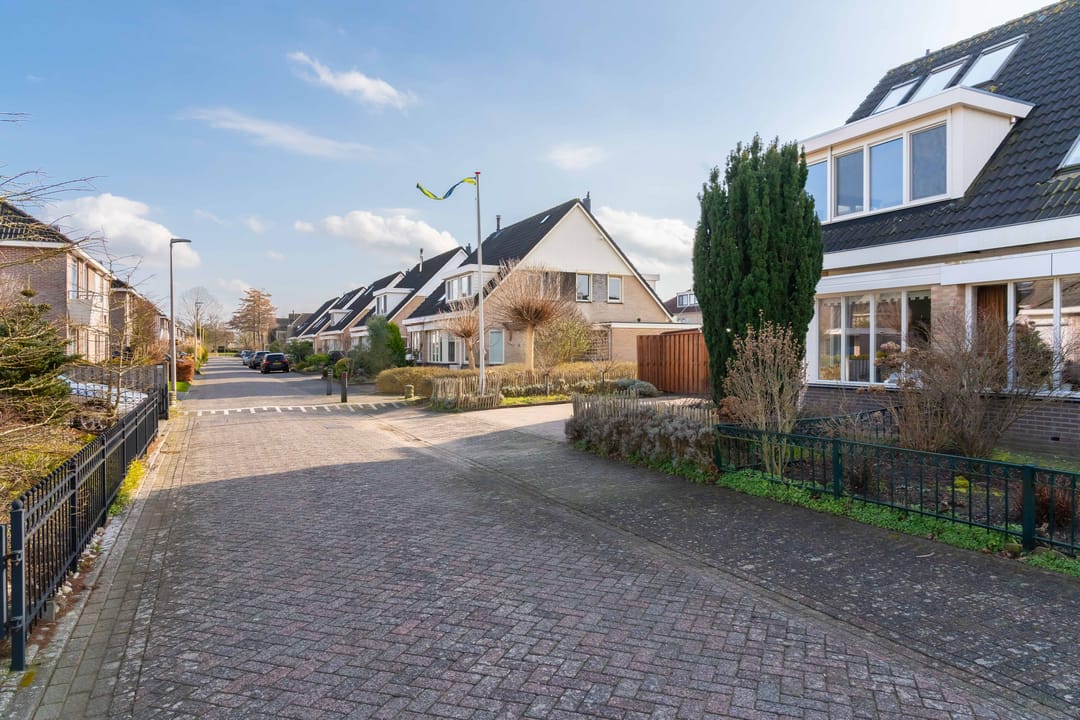 Foto 7 van Havikskruid 4