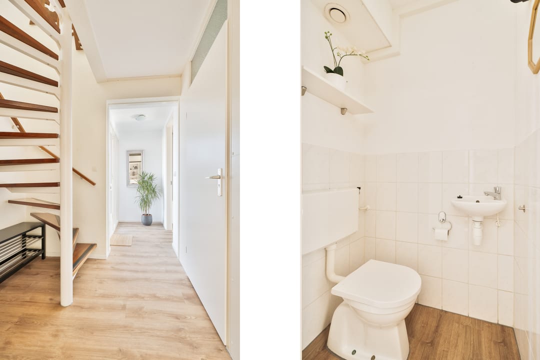 Foto 11 van Havikskruid 4