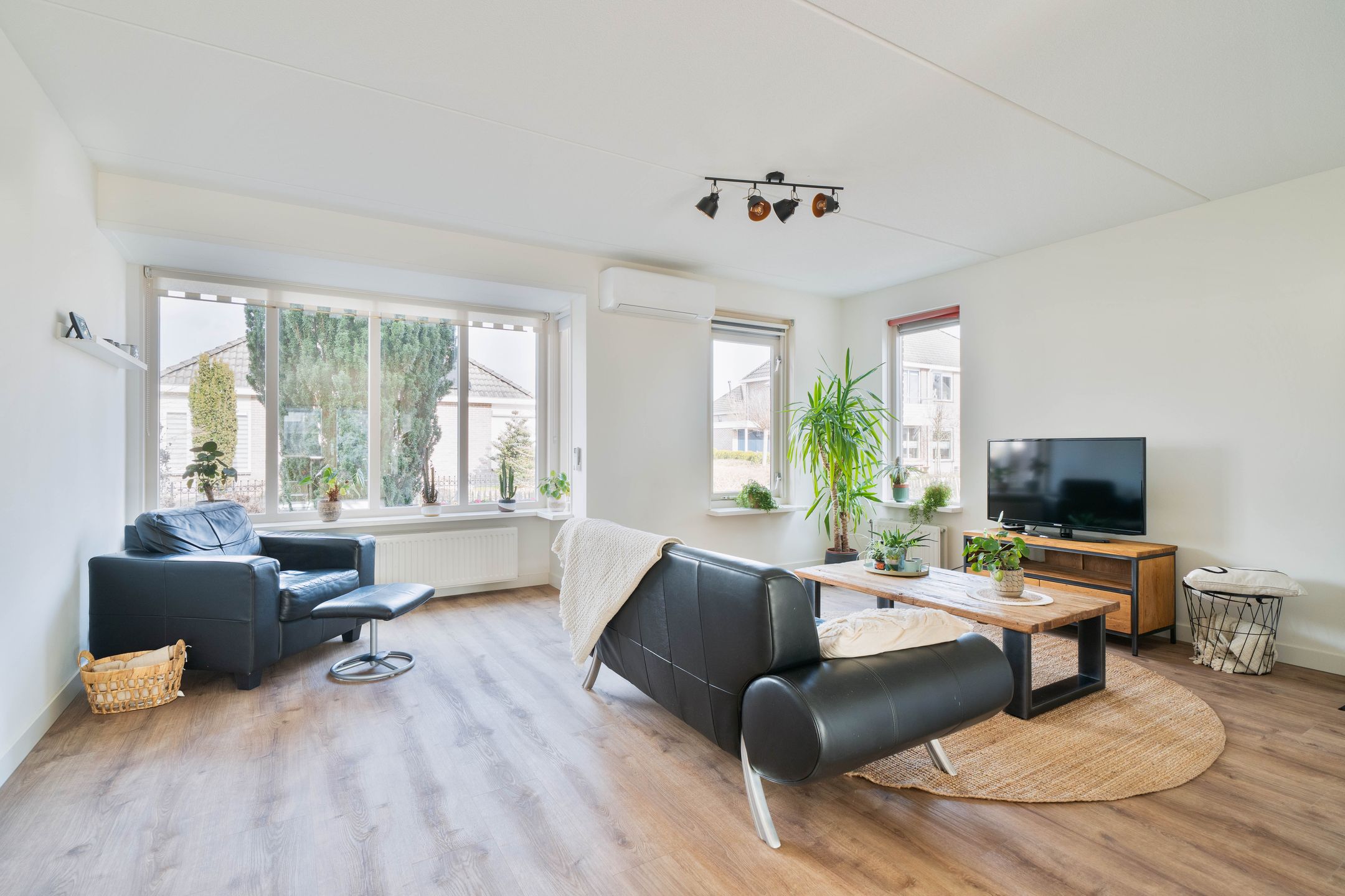 Foto 12 van Havikskruid 4