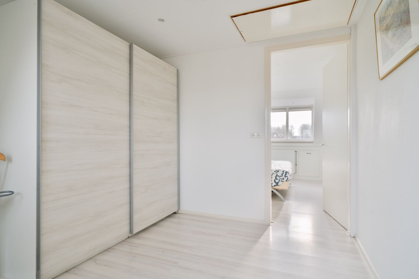 Foto 29 van Havikskruid 4