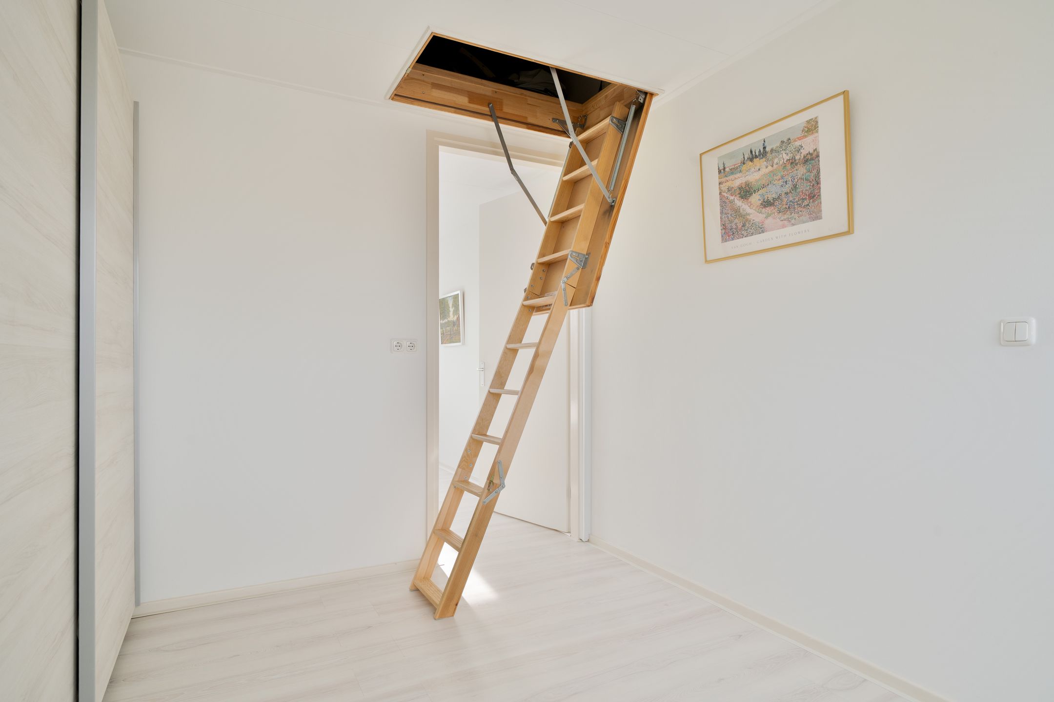 Foto 30 van Havikskruid 4