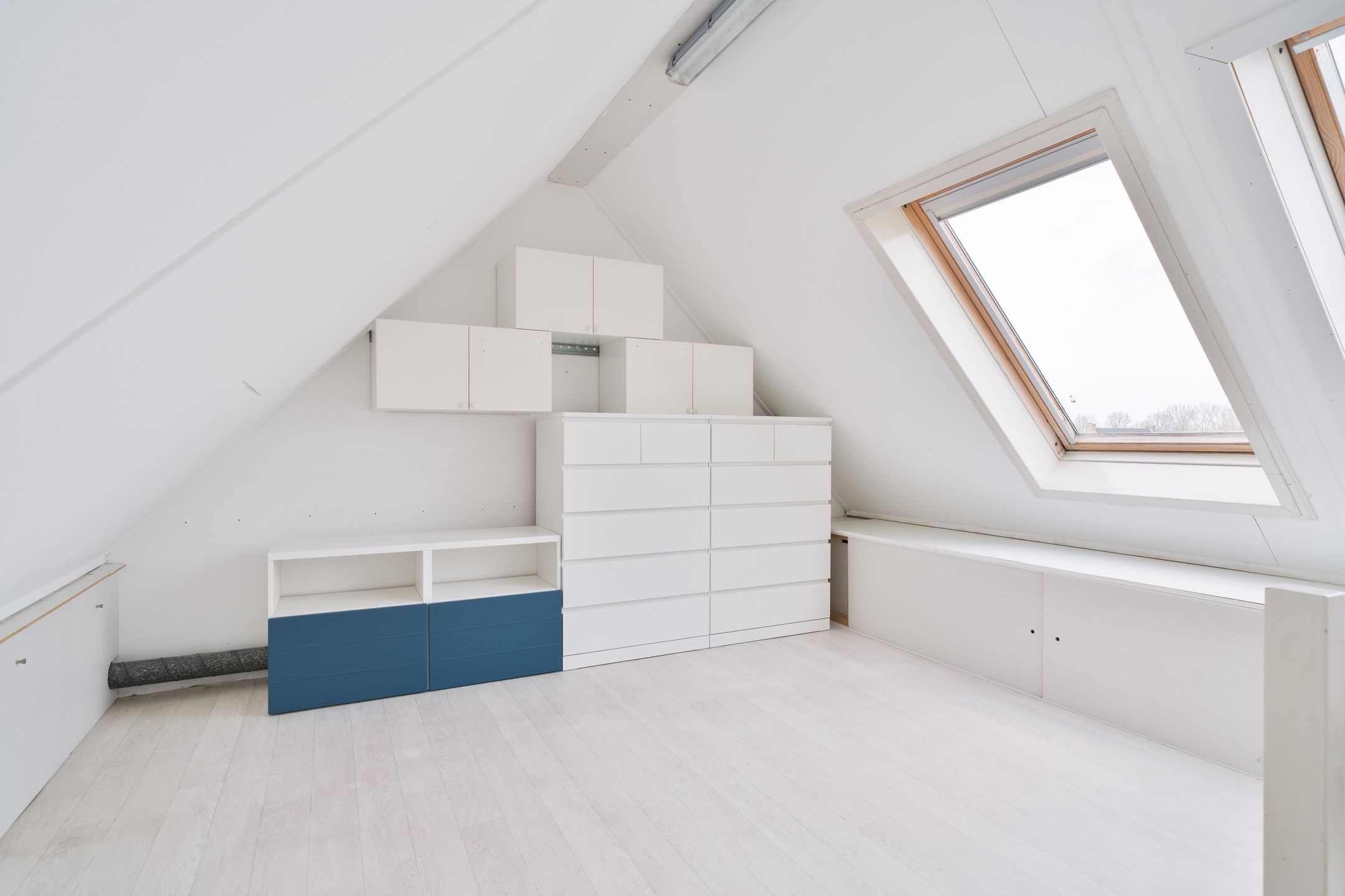 Foto 33 van Havikskruid 4