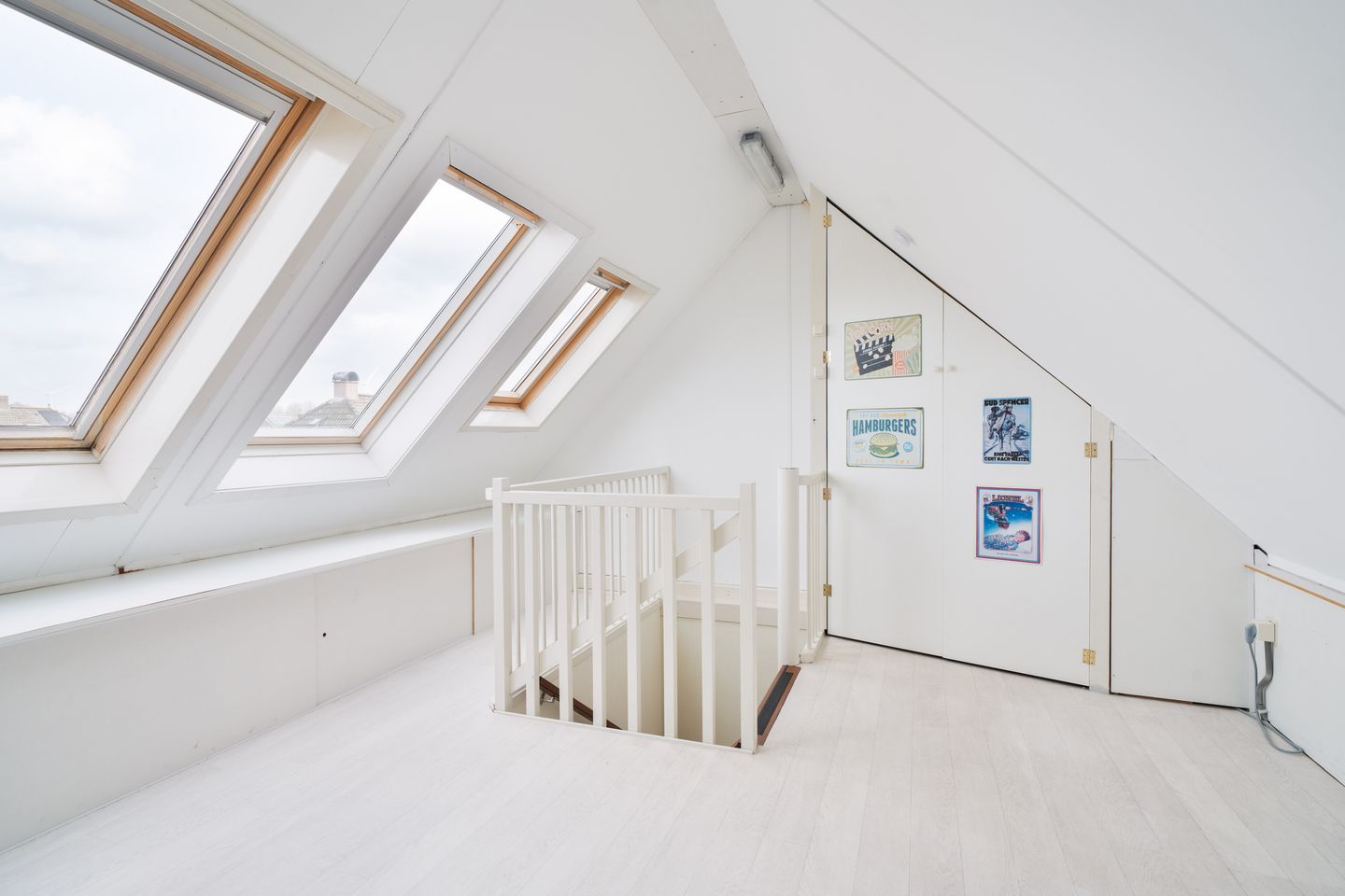 Foto 34 van Havikskruid 4