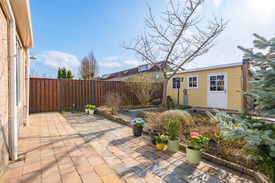 Foto 37 van Havikskruid 4