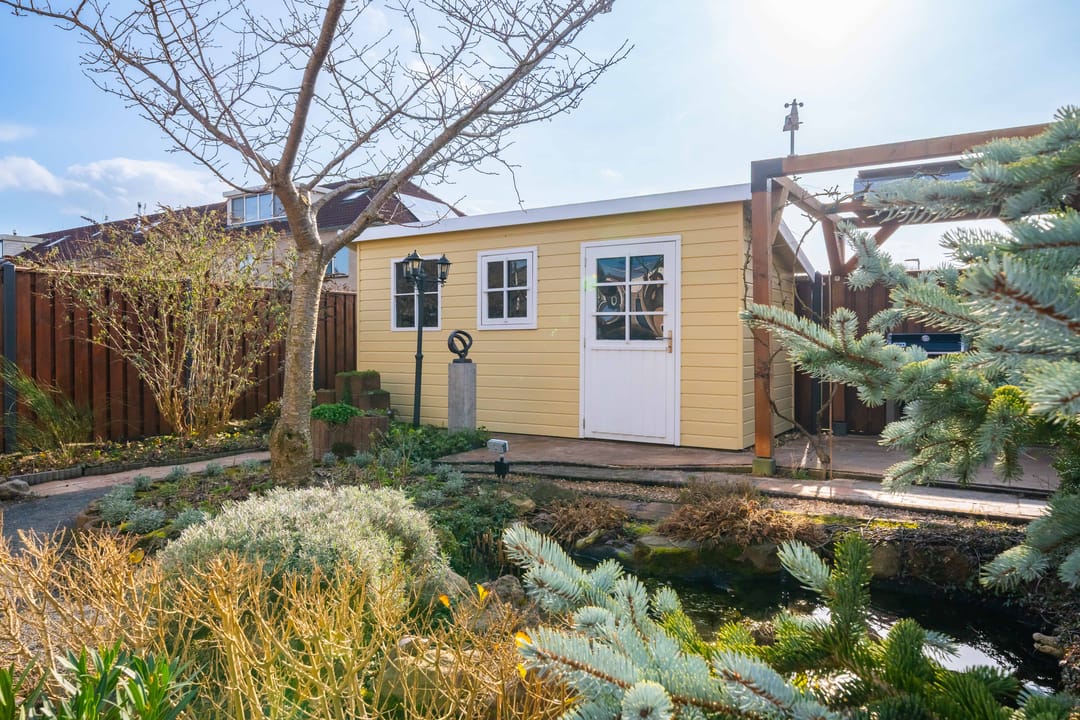 Foto 38 van Havikskruid 4