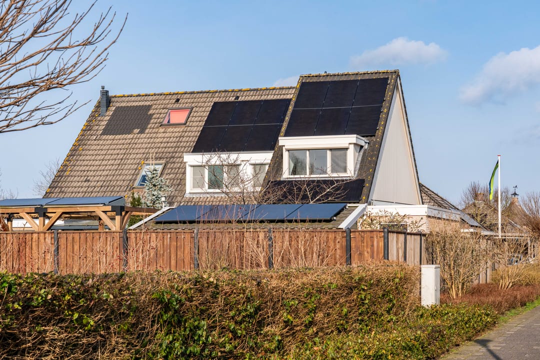 Foto 43 van Havikskruid 4