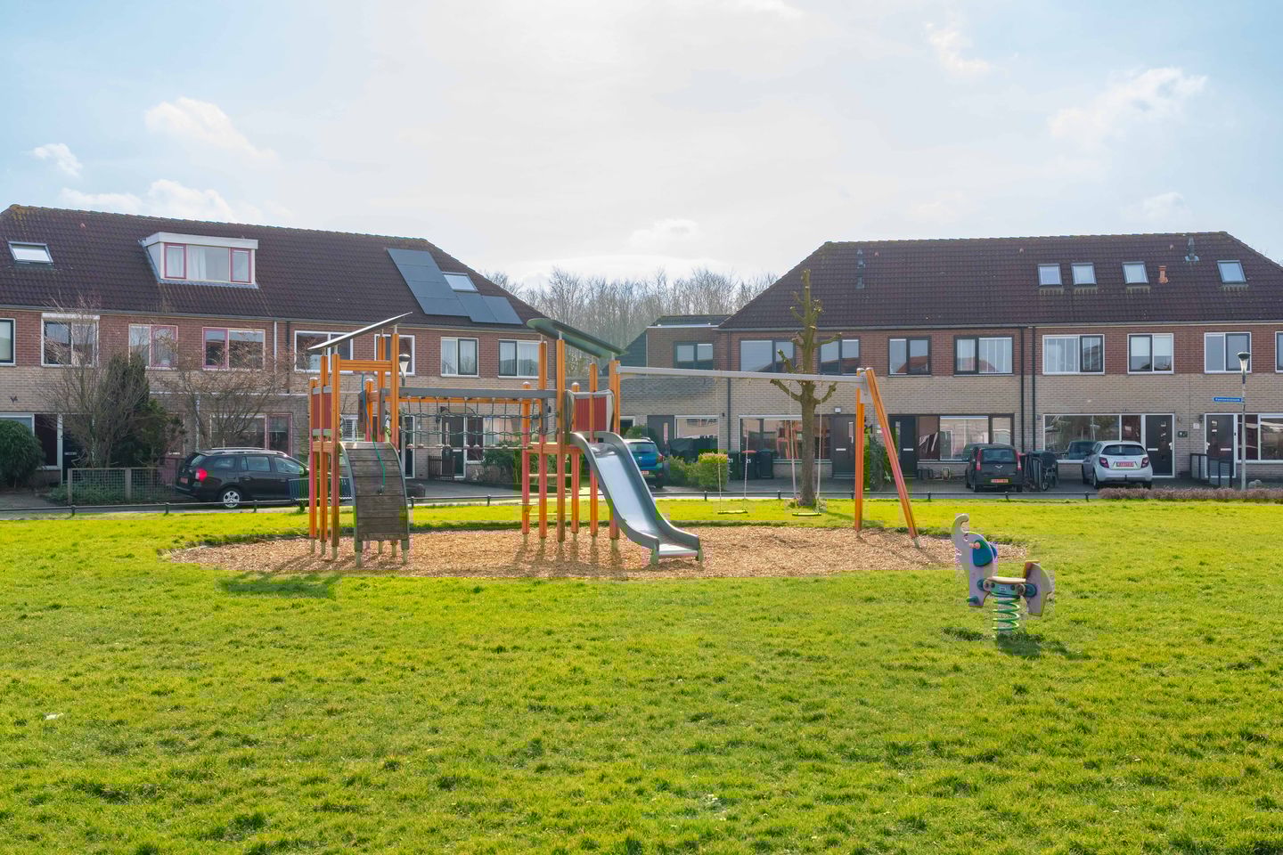 Foto 44 van Havikskruid 4