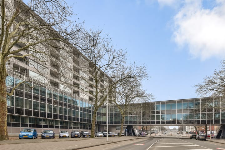 Foto 2 van Parnassusweg 119