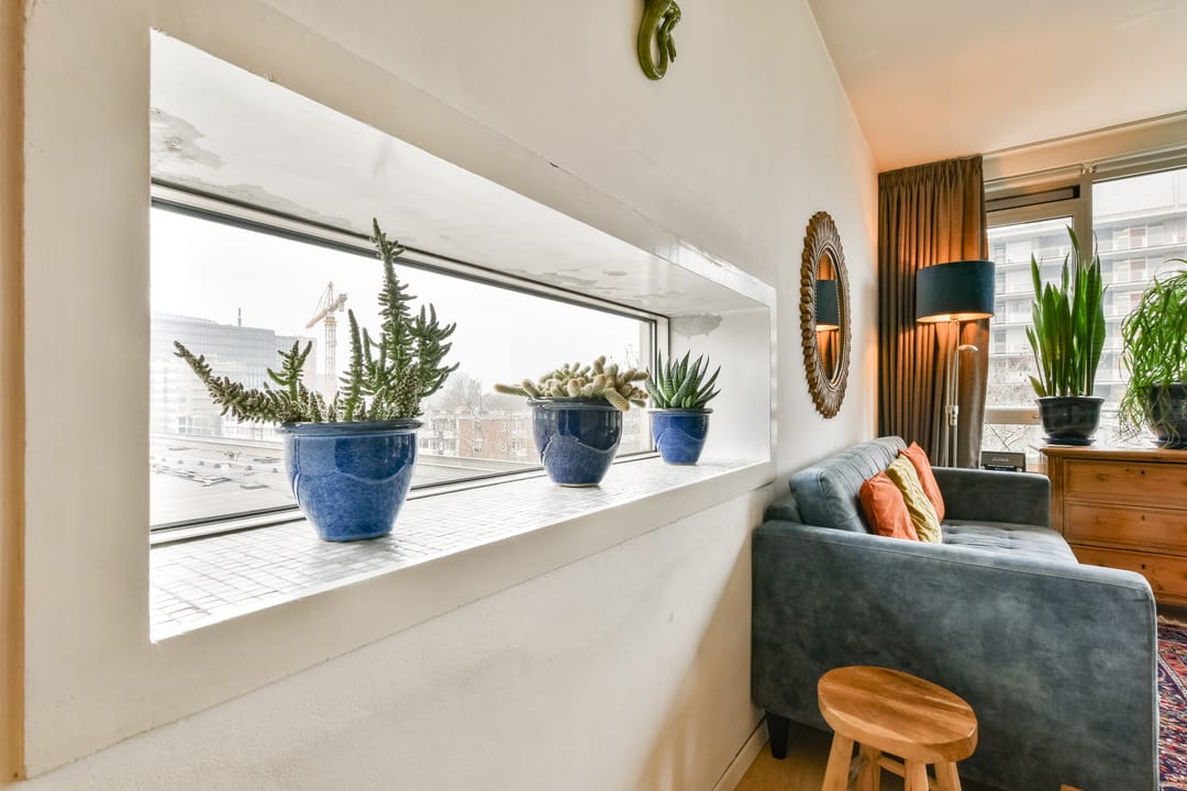 Foto 11 van Parnassusweg 119