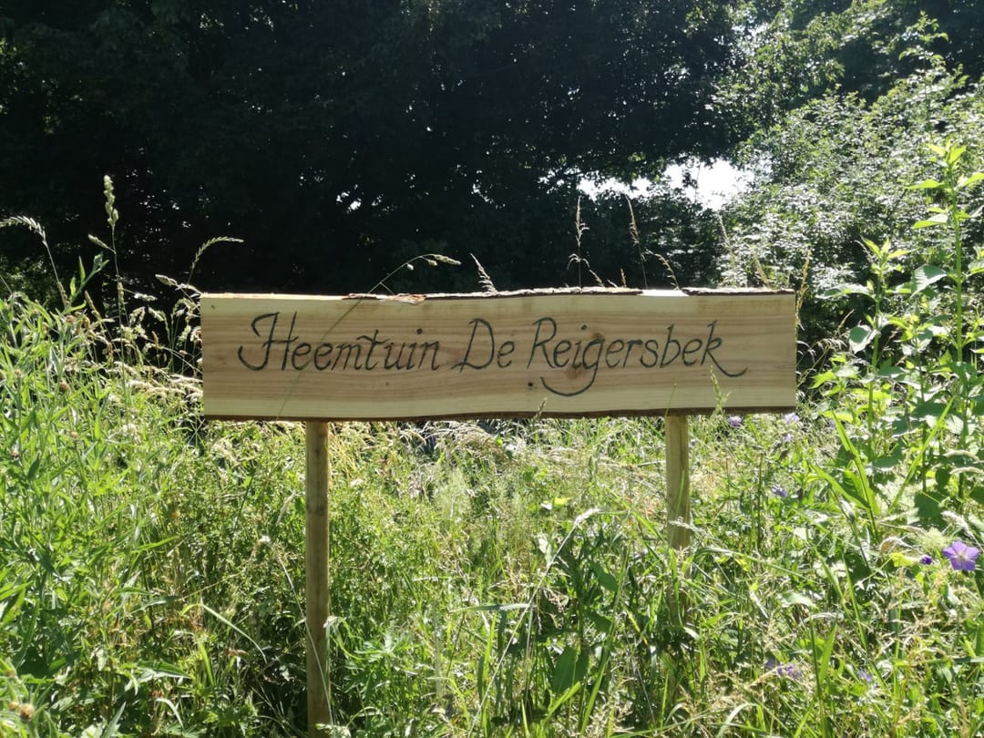 Photo 38 of De Keulen 5