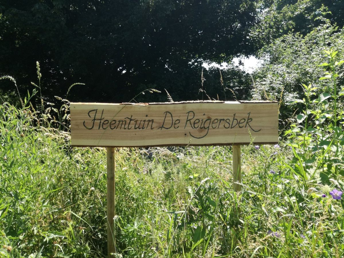 Foto 35 van De Keulen 5