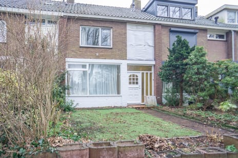 undefined main image