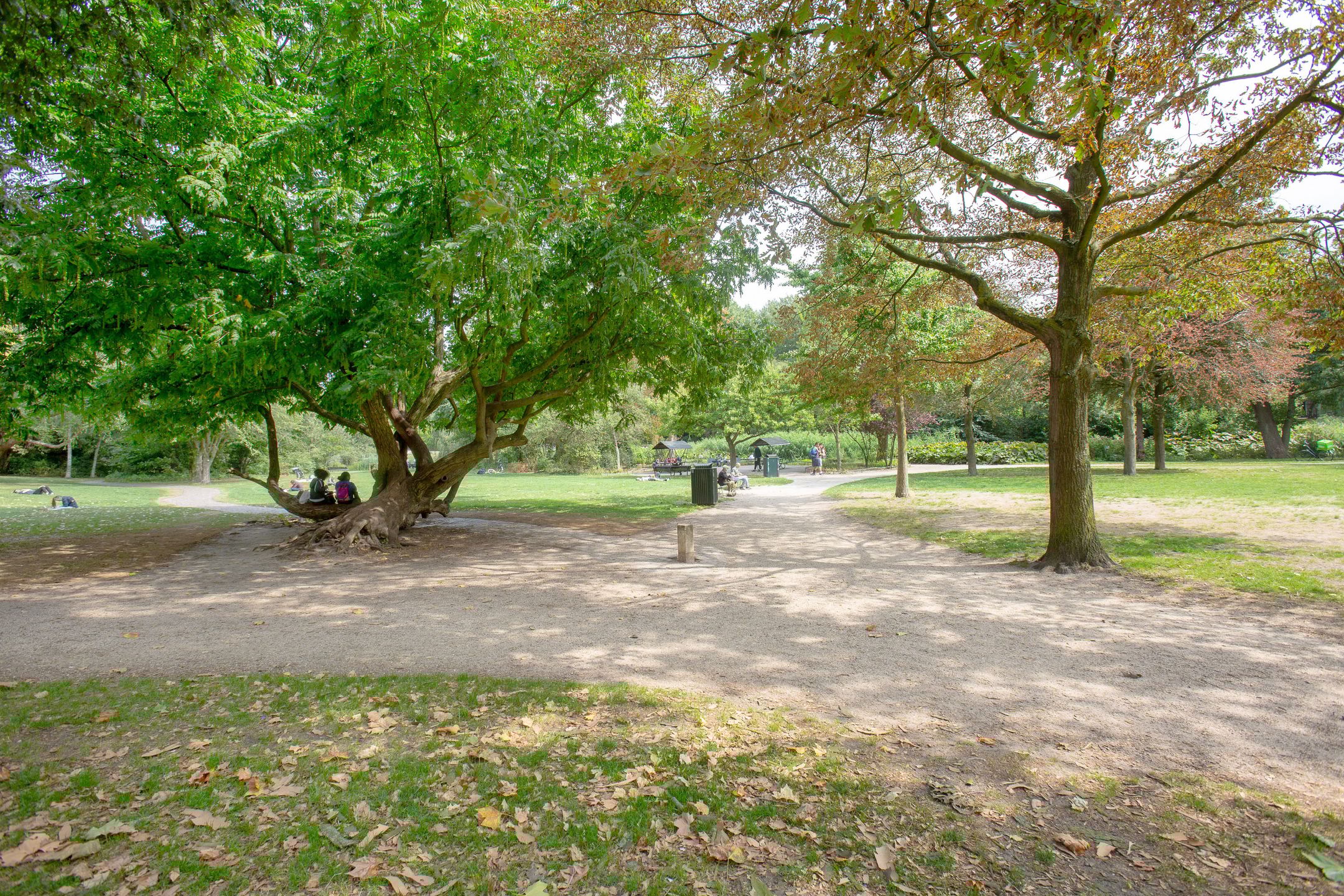 Foto 21 van Van Ostadestraat 110-A