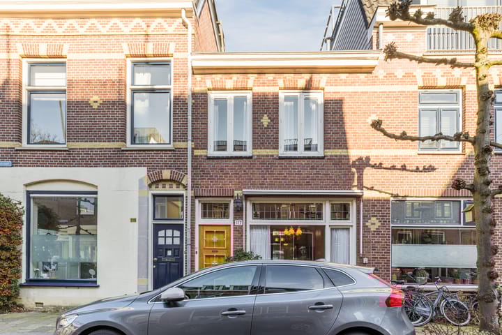 Lijsterstraat 117