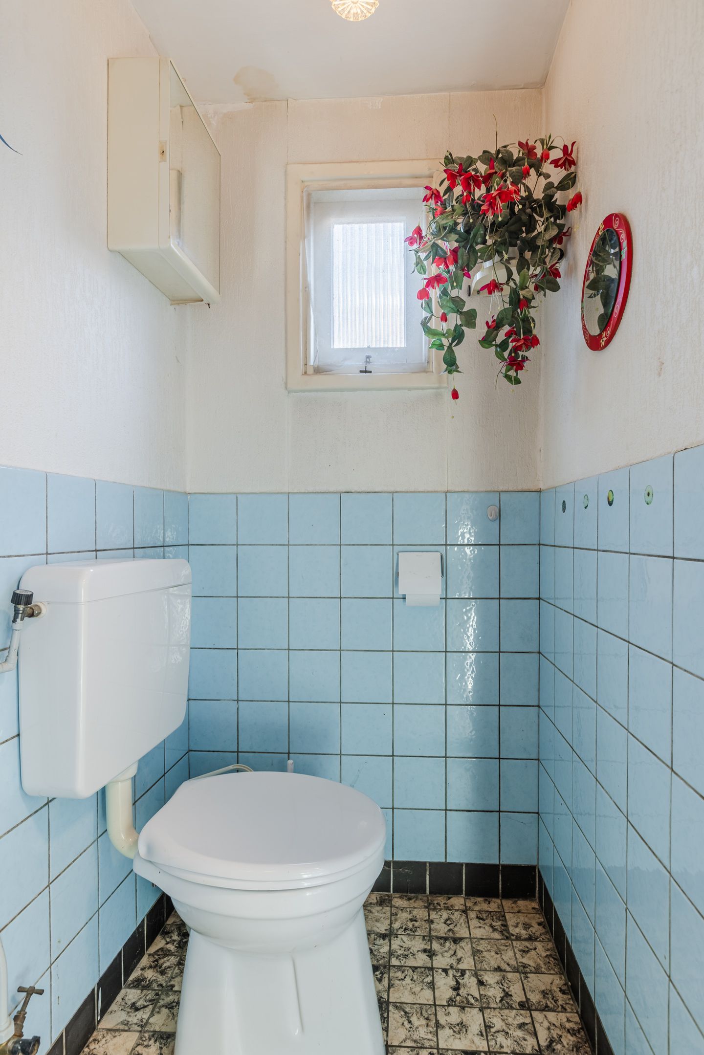 Foto 19 van Lijsterstraat 117