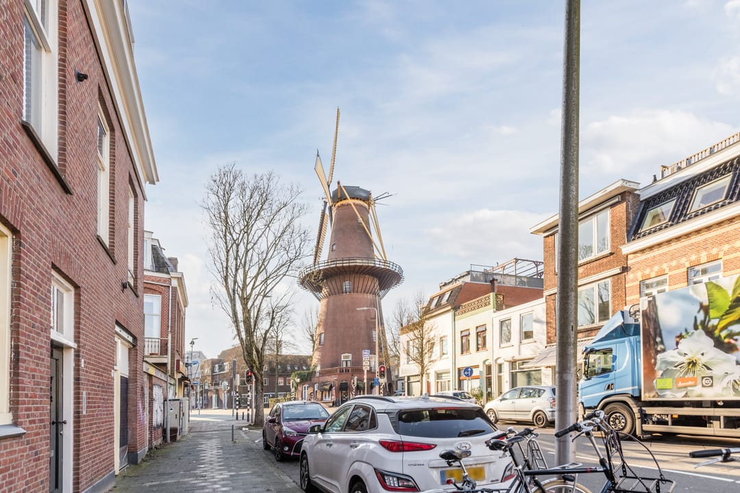 Foto 41 van Lijsterstraat 117