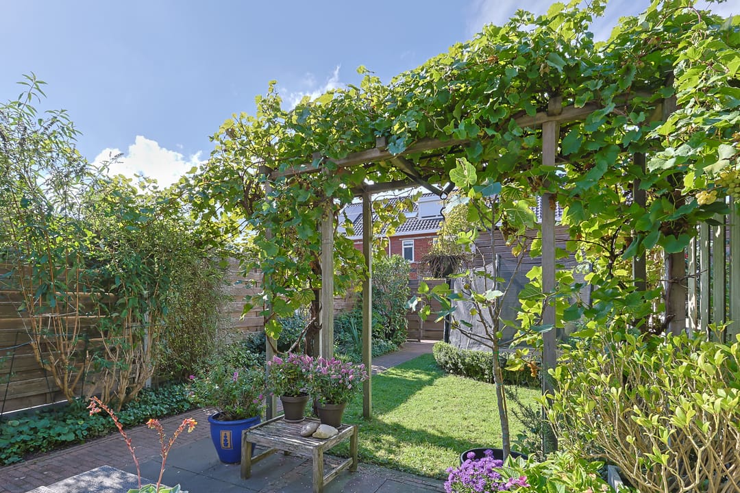 Photo 46 of Wederik 5