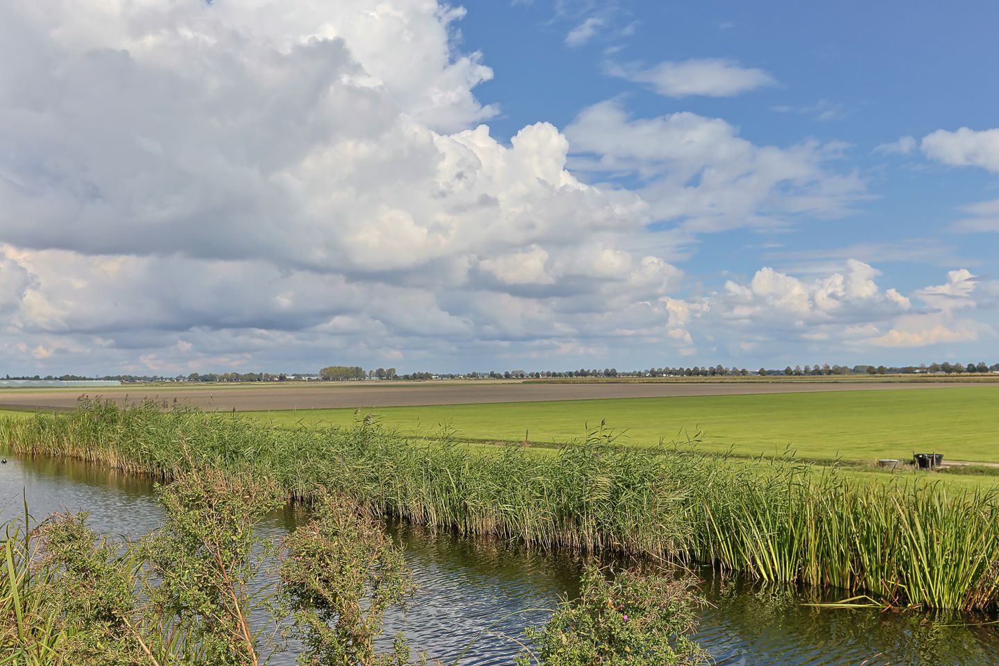 Photo 50 of Wederik 5