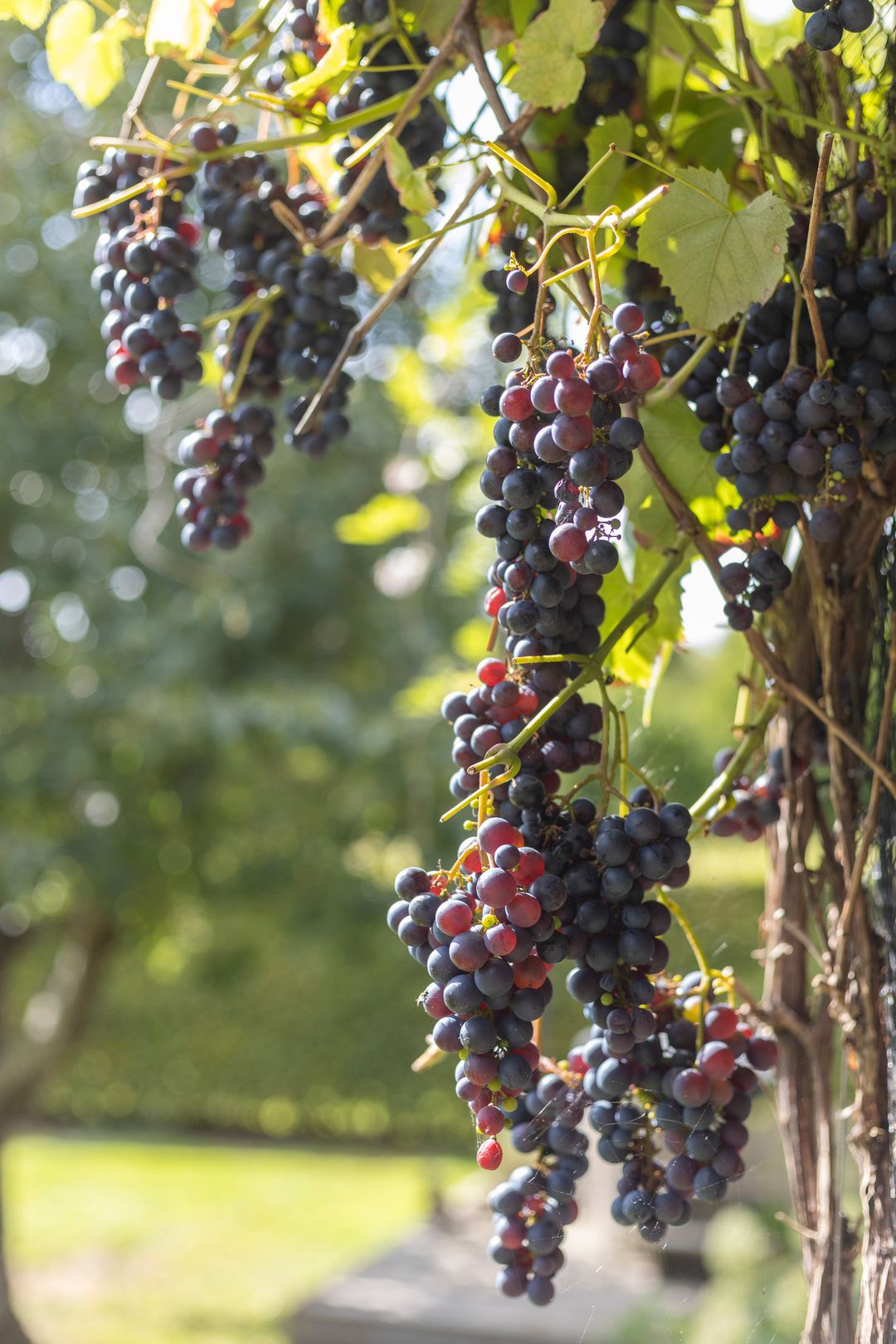 Photo 32 of Kerkebuurt 174