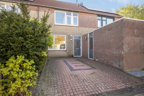 undefined main image