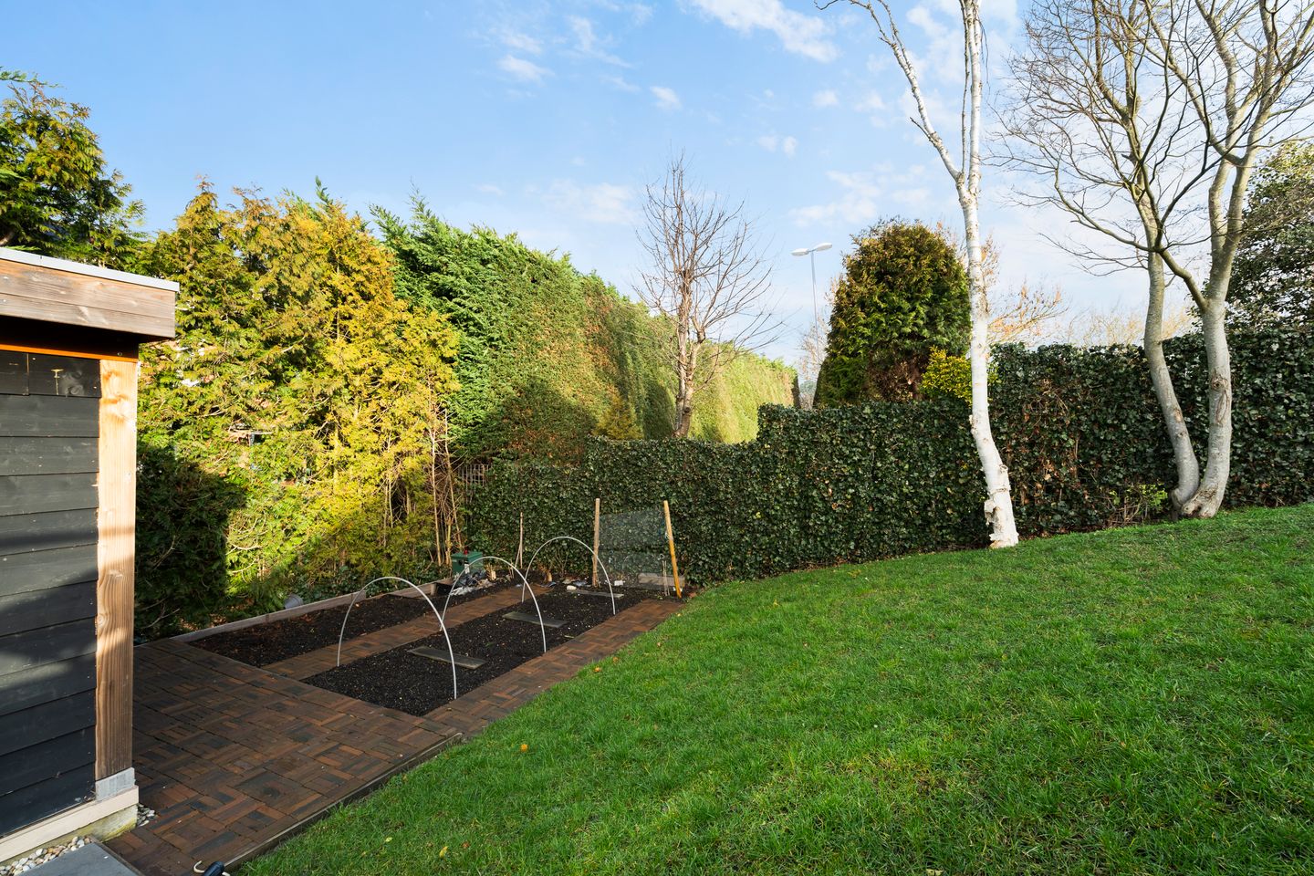 Foto 49 van Rodenrijseweg 56-D