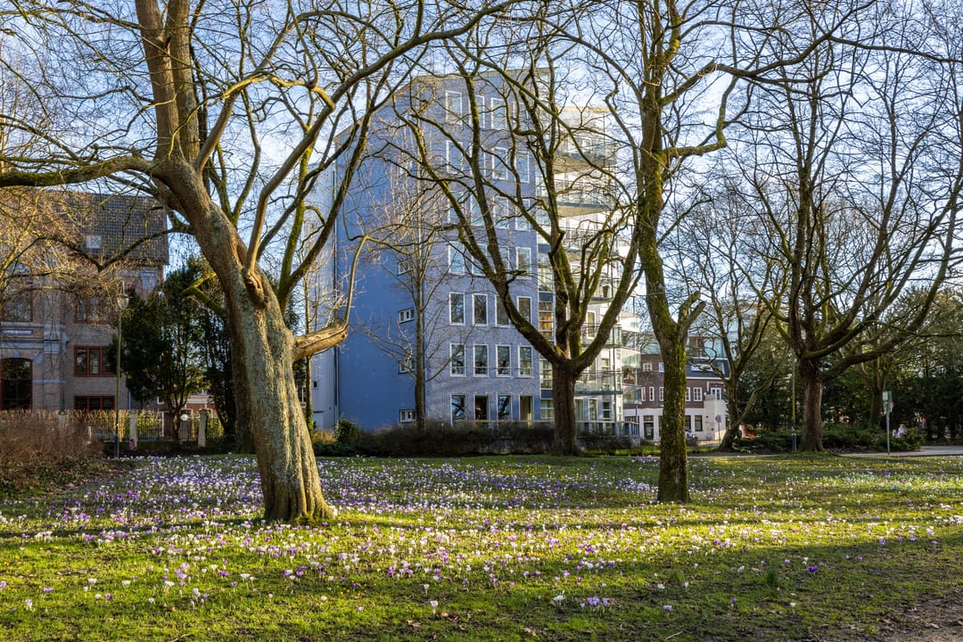 Foto 8 van Noorderbinnensingel 11-1