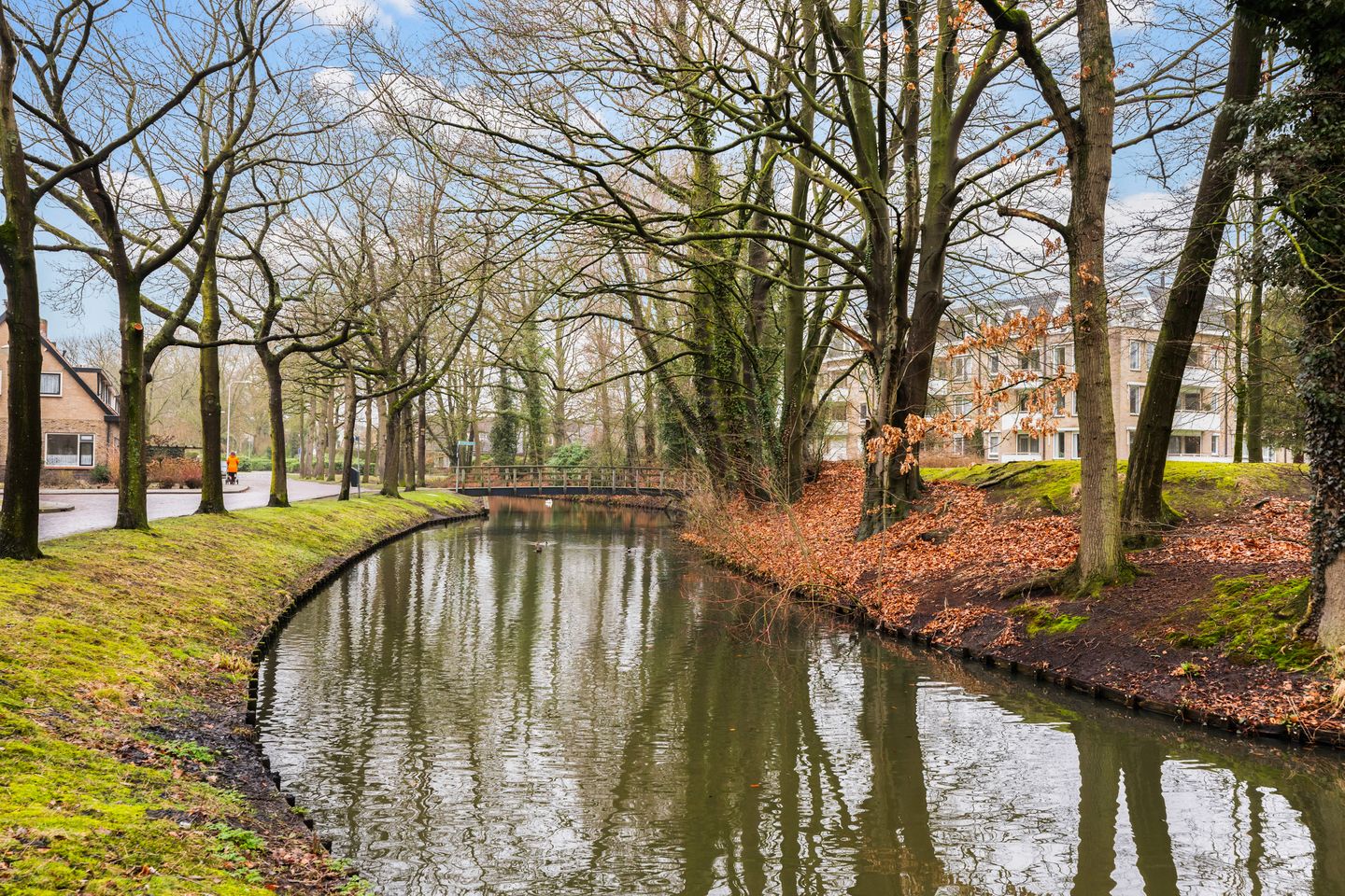 Foto 40 van Jan Steenlaan 10