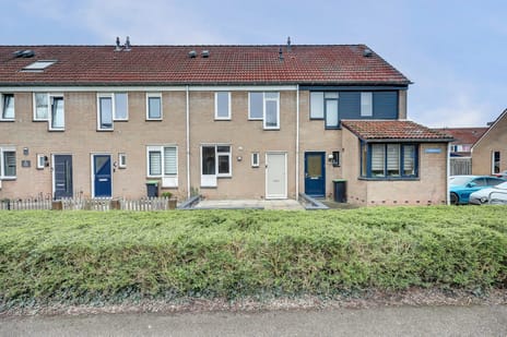 Scherpgras thumbnail