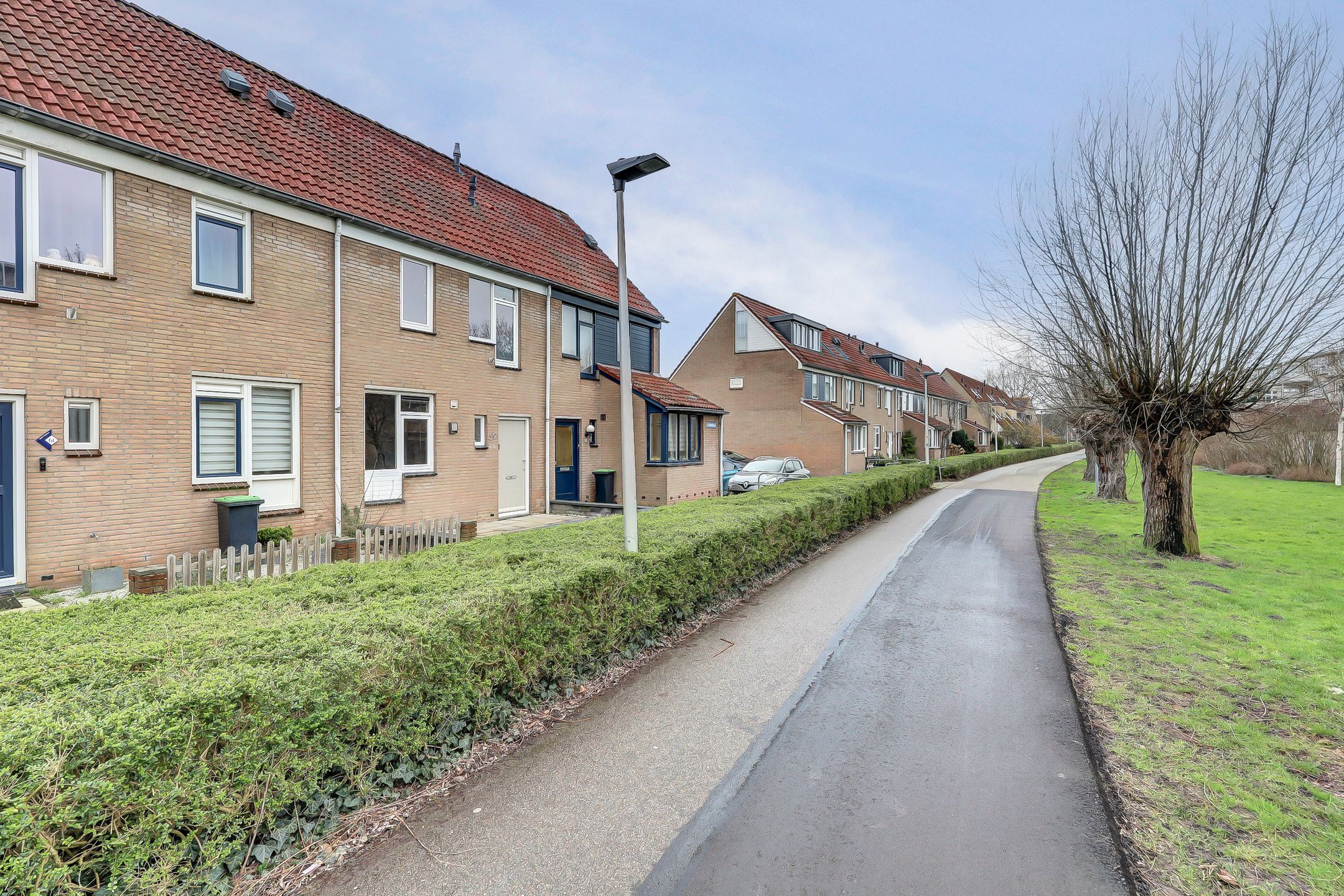 Photo 30 of Scherpgras 59