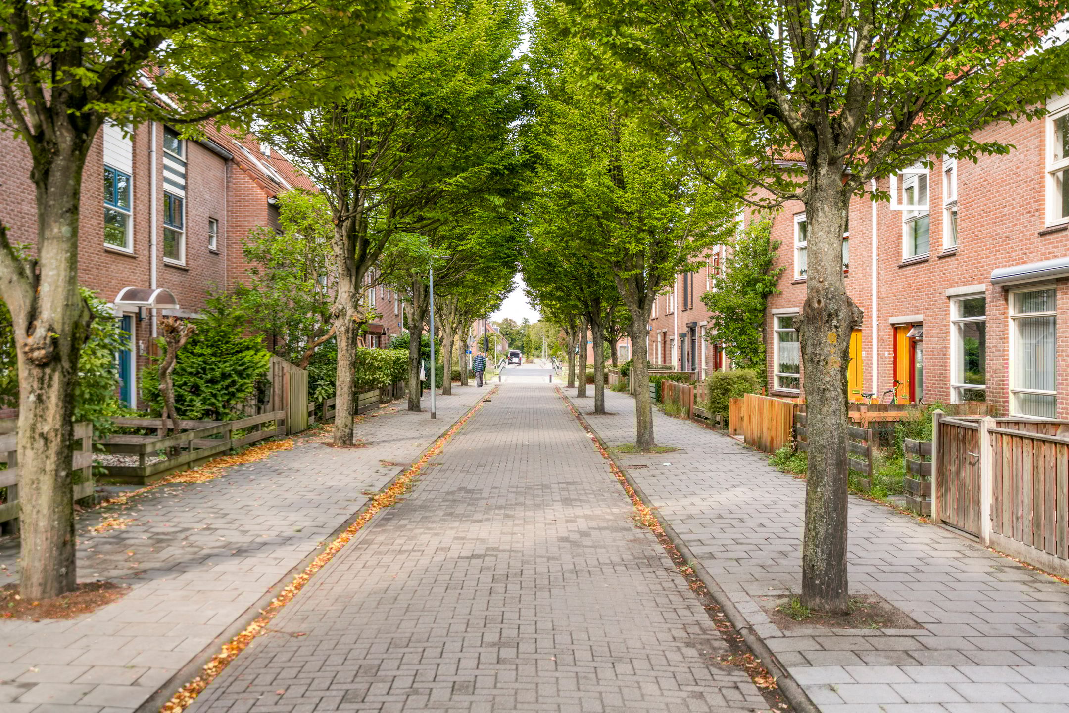 Foto 45 van Barneveldpad 19