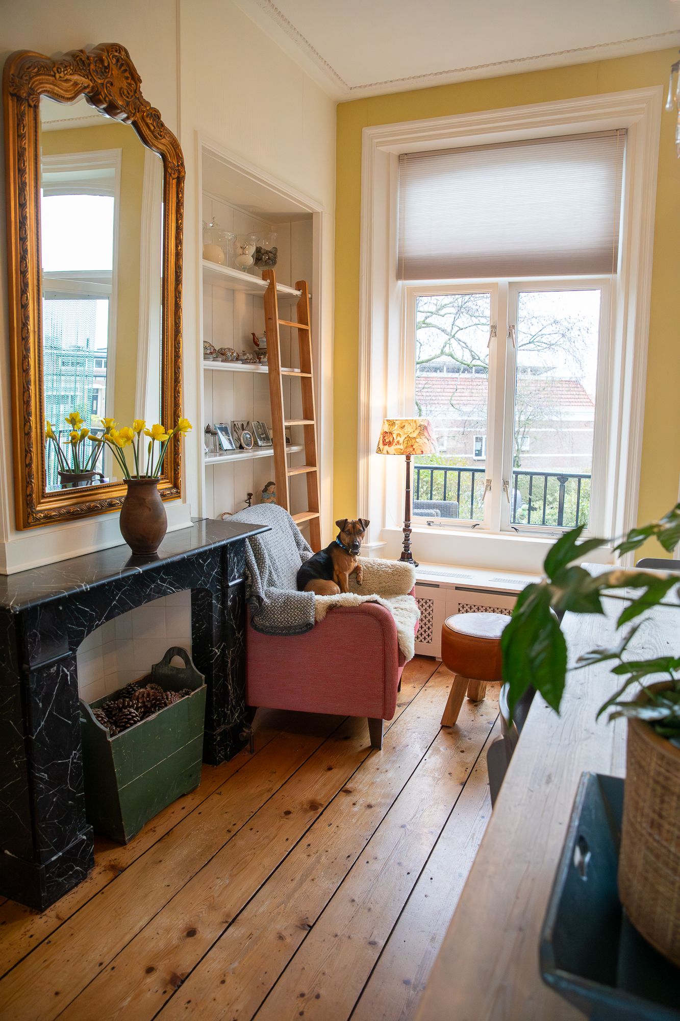 Foto 24 van Kanadeeskestrjitte 8