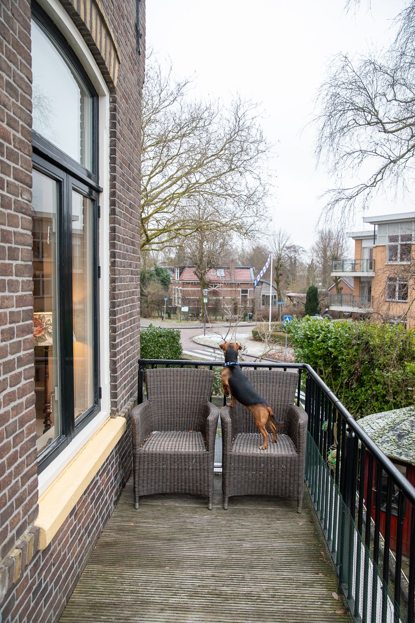 Foto 25 van Kanadeeskestrjitte 8