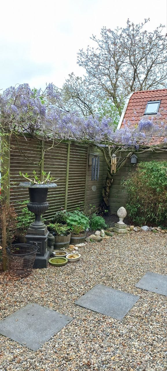 Foto 46 van Kanadeeskestrjitte 8