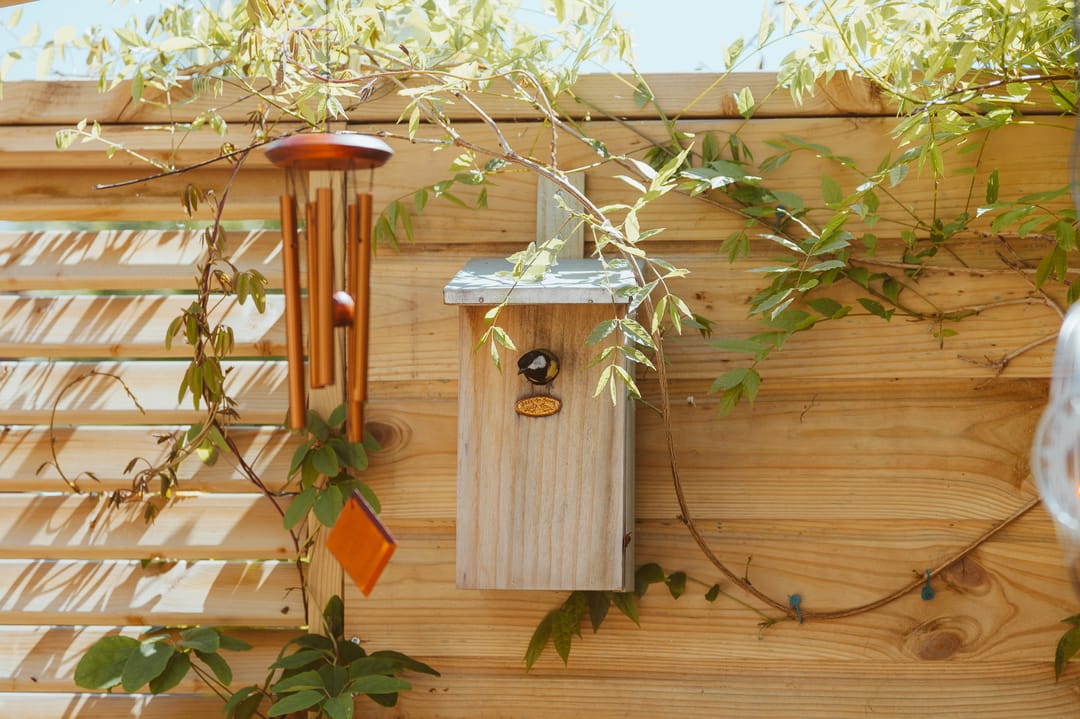 Foto 47 van Kanadeeskestrjitte 8