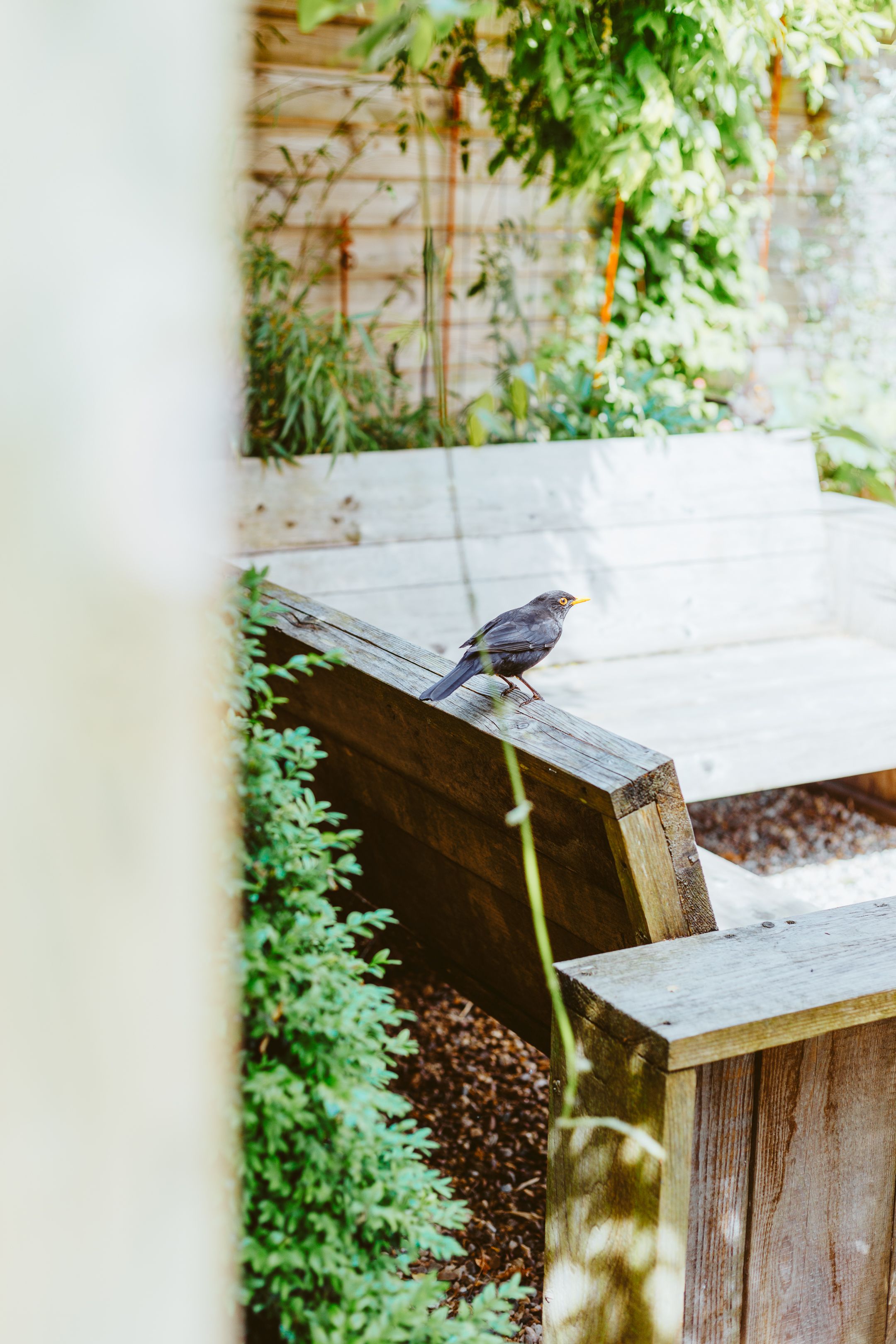 Foto 48 van Kanadeeskestrjitte 8