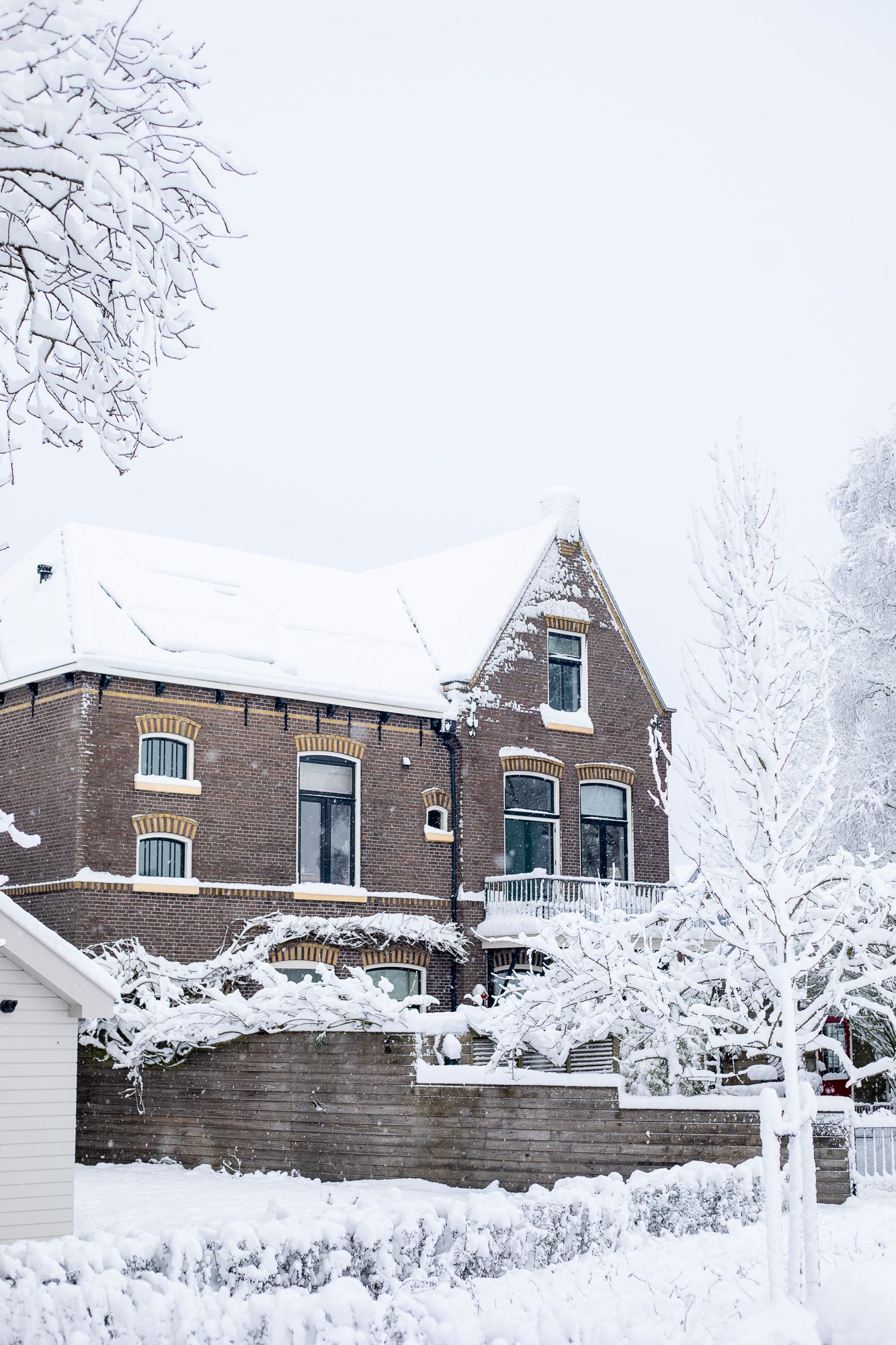 Foto 50 van Kanadeeskestrjitte 8