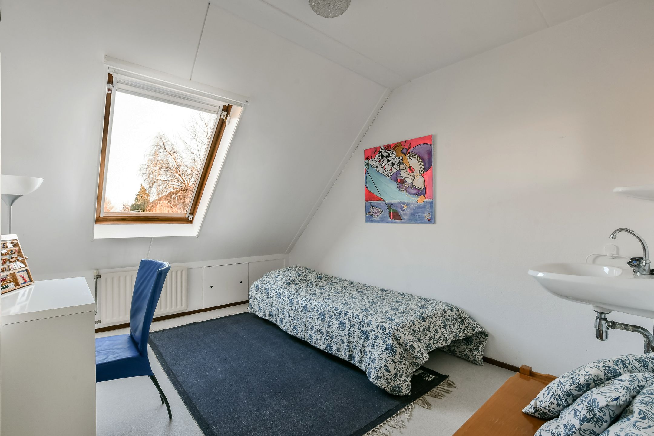 Photo 15 of Zwarte mees 10