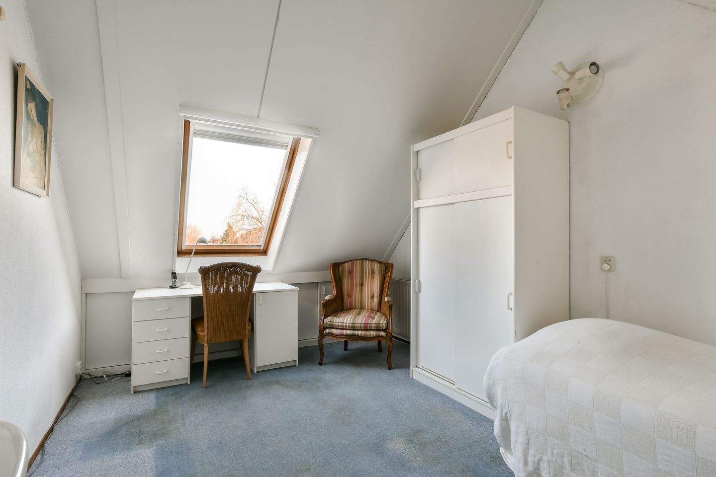 Photo 19 of Zwarte mees 10