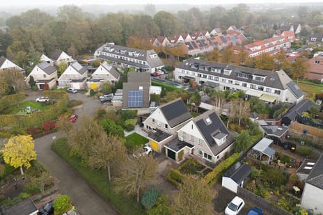 Gele Varaan 20 secondary image