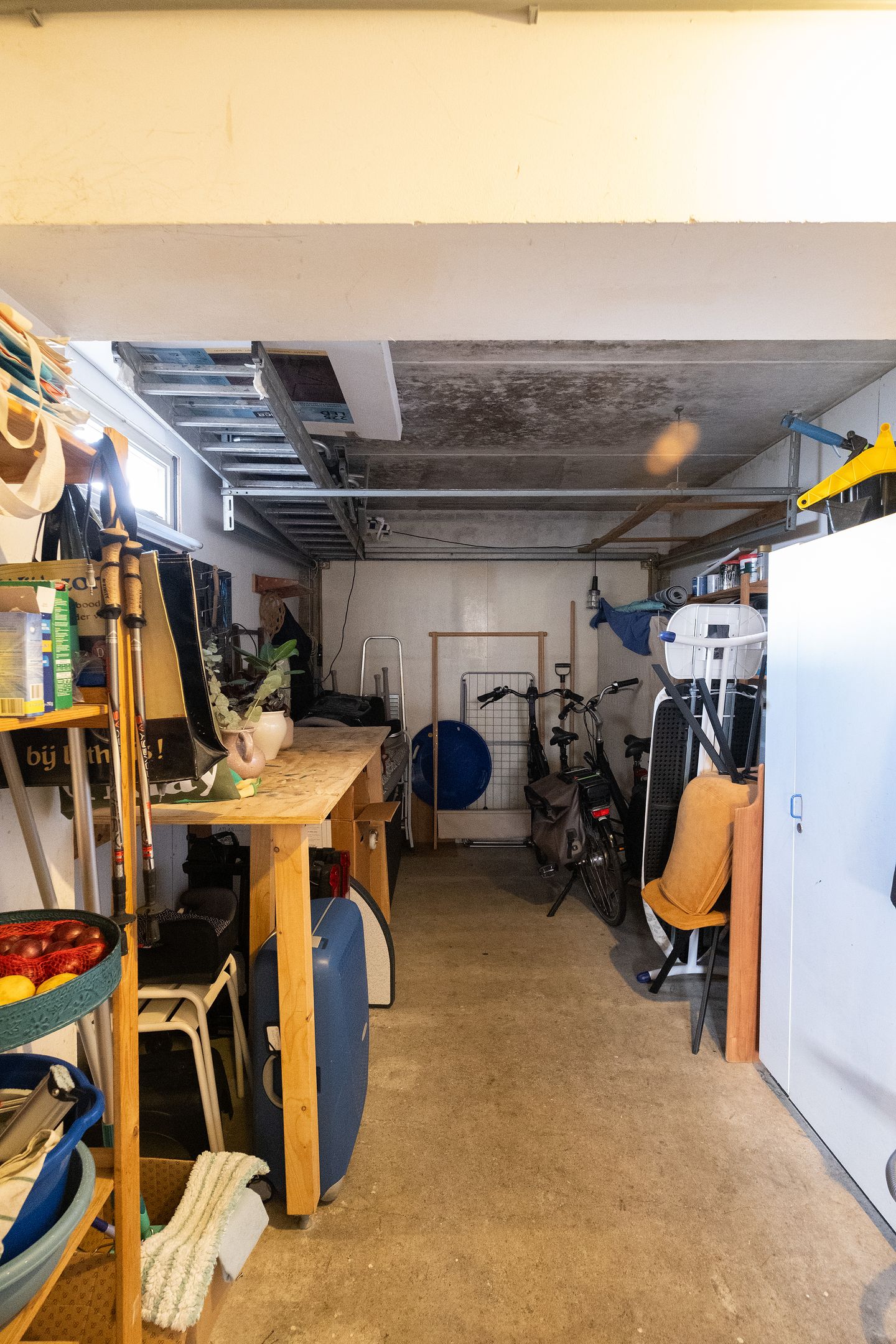 Foto 19 van Gele Varaan 20