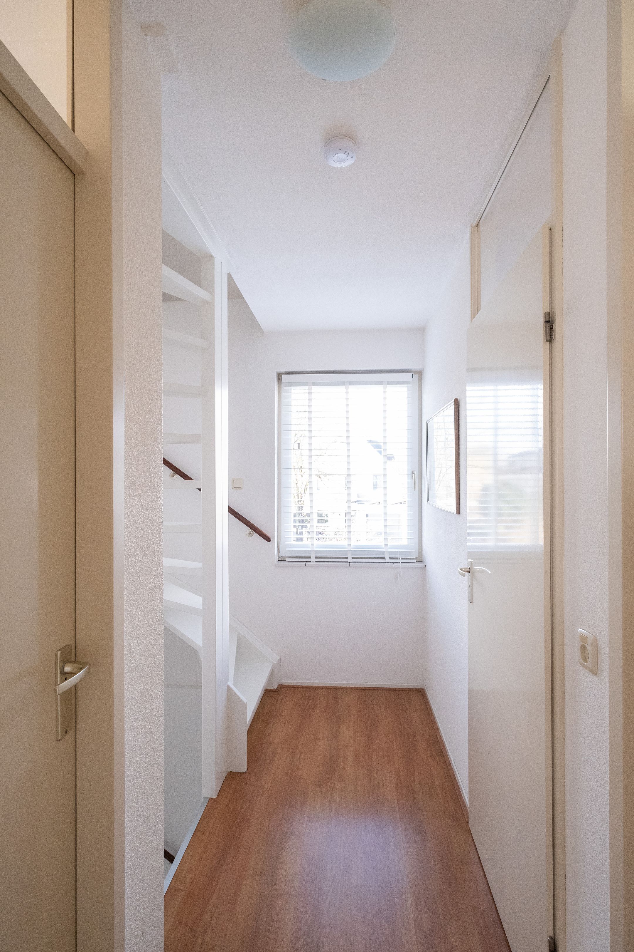 Foto 21 van Gele Varaan 20