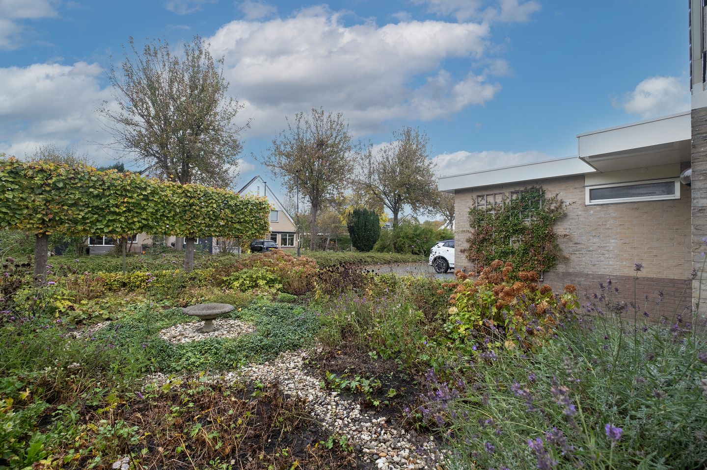 Foto 34 van Gele Varaan 20