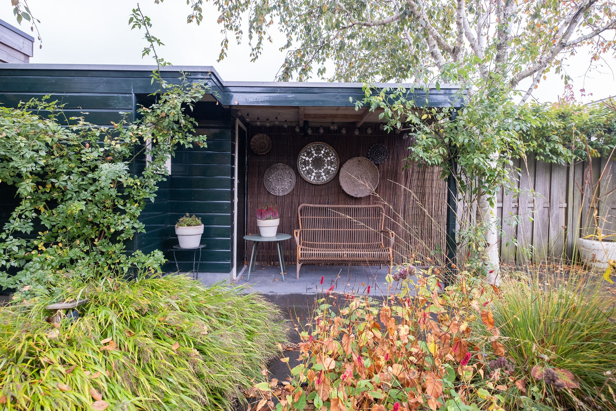 Foto 39 van Gele Varaan 20