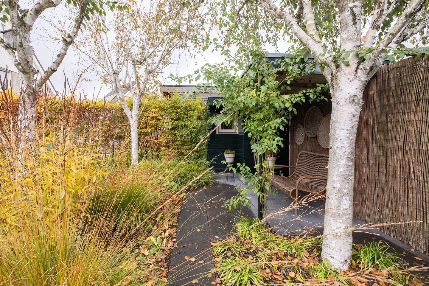 Foto 40 van Gele Varaan 20