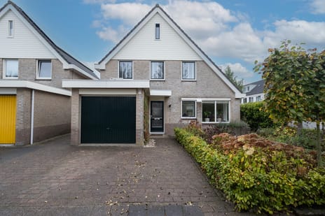 Gele Varaan thumbnail