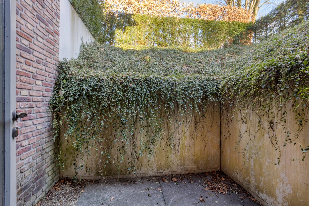 Foto 31 van Tonnenberg 53-V3