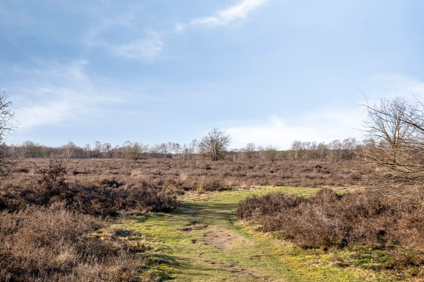 Foto 40 van Tonnenberg 53-V3