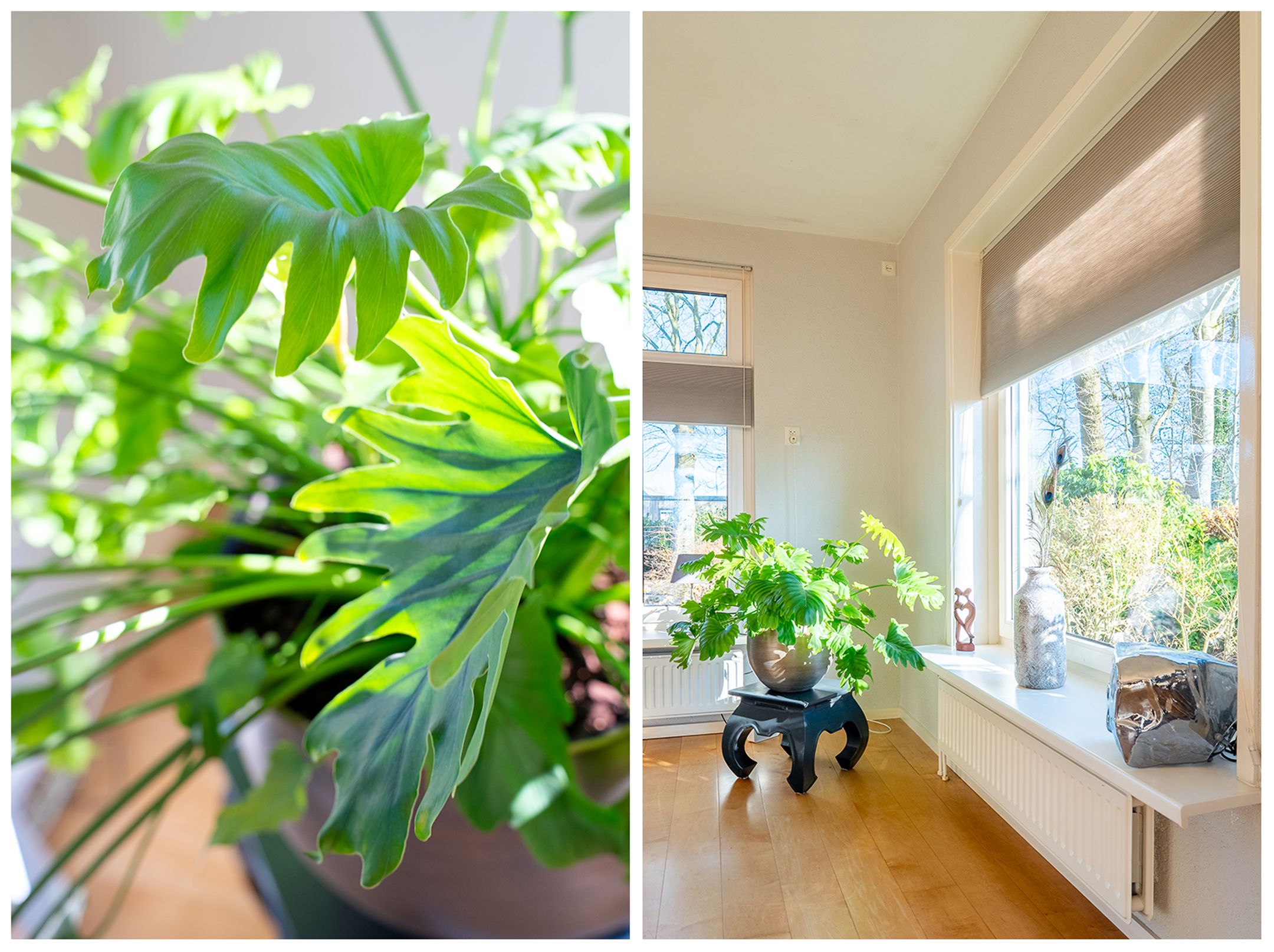 Photo 24 of Natuurschoonweg 31